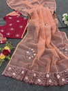 JK 619 Organza Non Catalog Sarees Wholesale Clothing Suppliers In India
